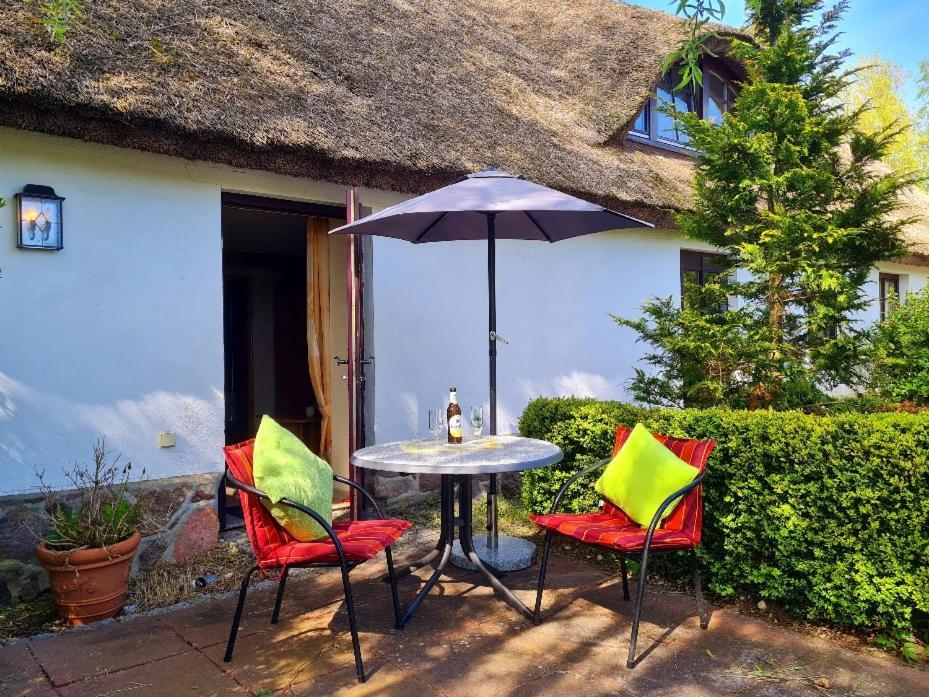 Apartamento Alte Und Neue Buednerei Groß Zicker Exterior foto